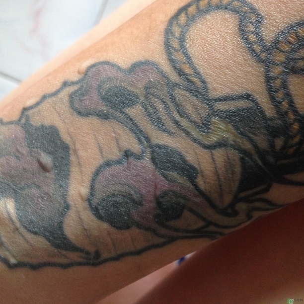 �Ѱ�������bb˪��ô��?�Ѱ�������bb˪������?